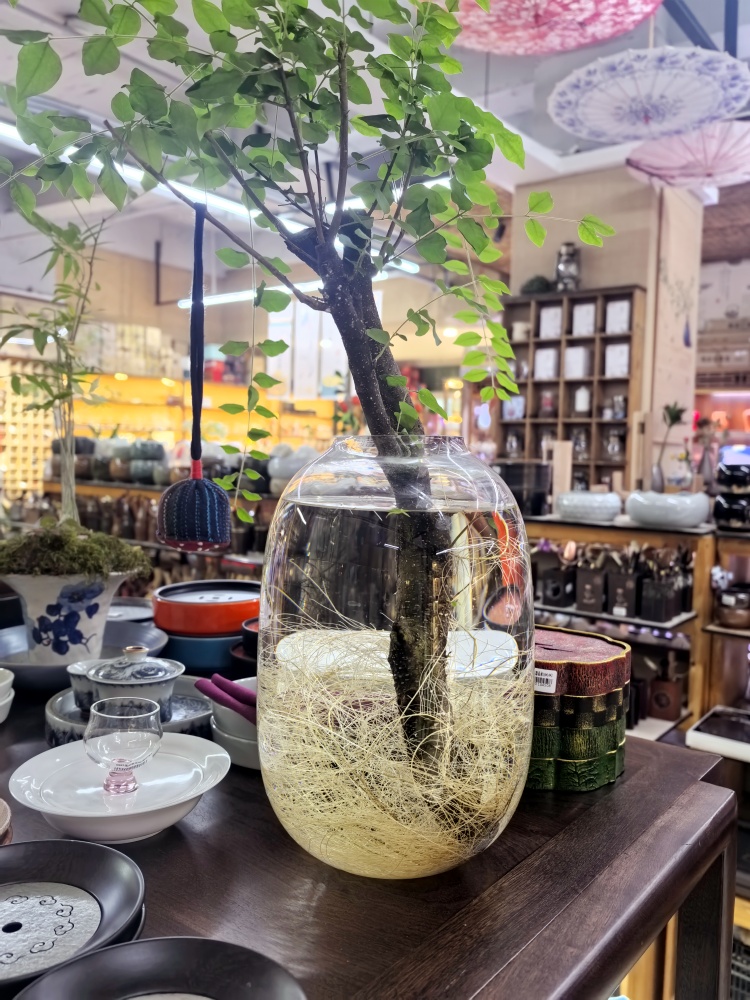 民宿全屋软装茶具搭配套装,新中式简约民宿茶器,昆明螺蛳湾民宿批量批发拿货